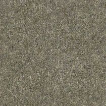 Desso tapijt Excellent B155 290 E1 400cm